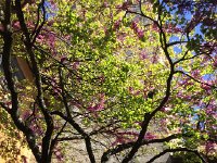 2017-04-29 15-08-08 37f805f8